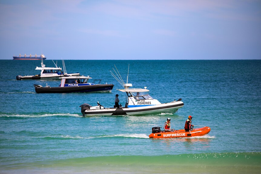 A line of search boats off Port Beach.