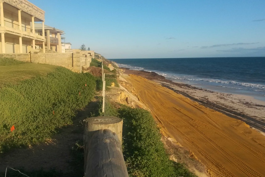 Seabird coastal erosion works