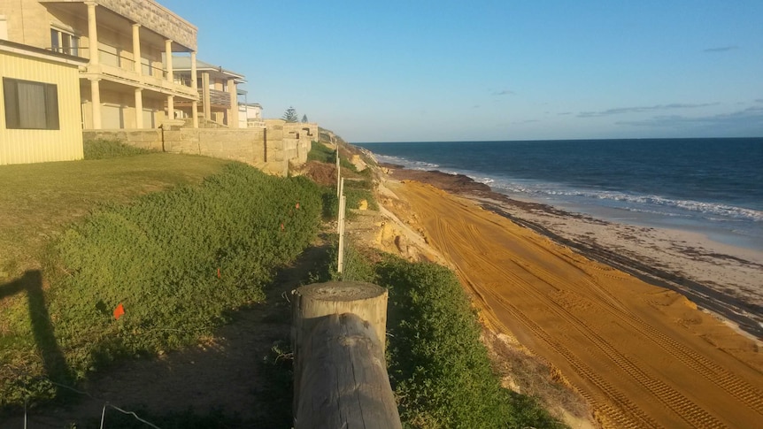 Seabird coastal erosion works