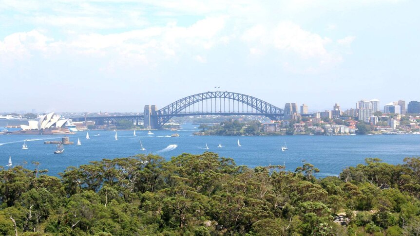 Sydney harbour with full view of the bridge and opera house.