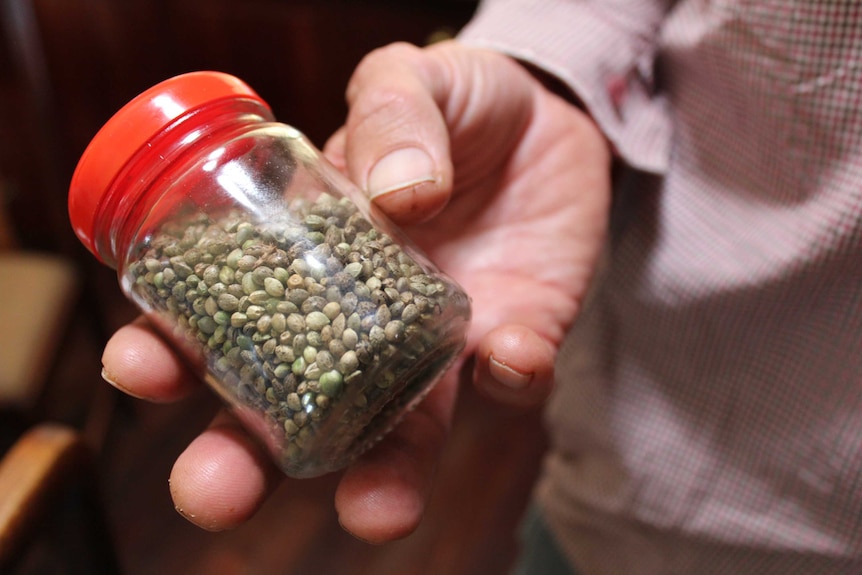 Hemp seeds