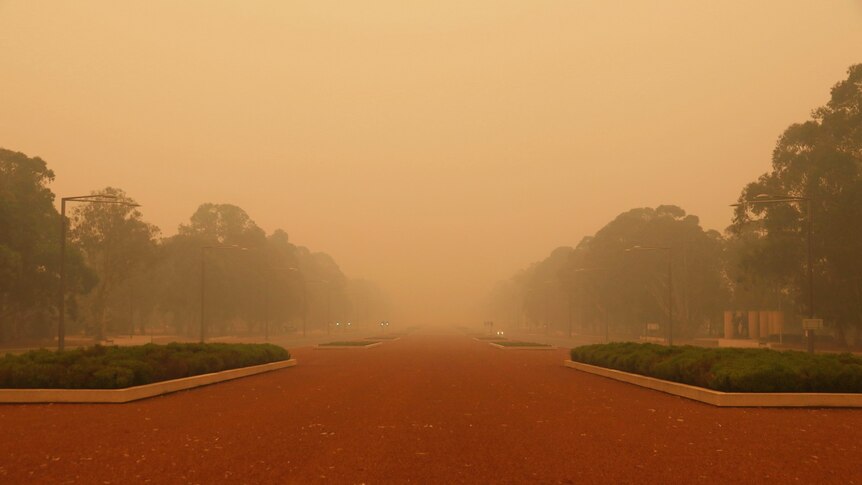 Thick smoke blankets Anzac Parade so you cannot see the end of the road.