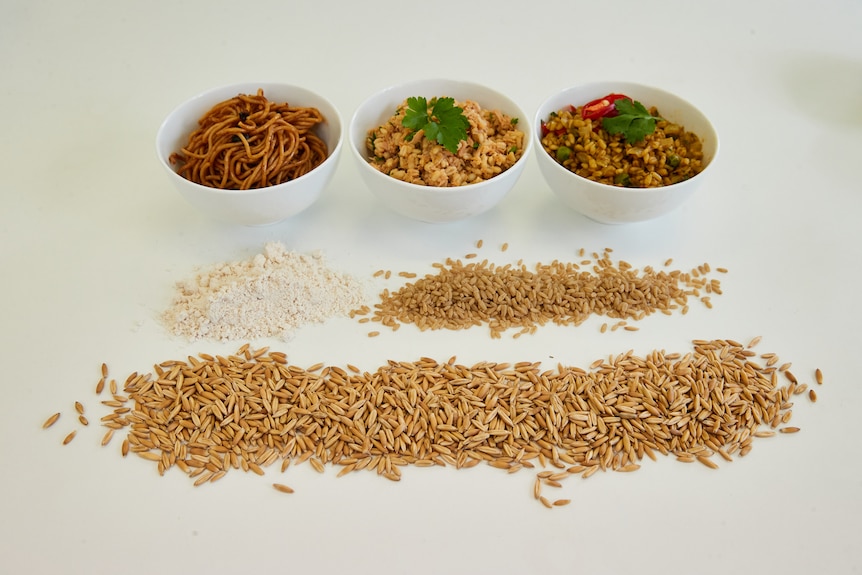 Three bowls of noodles or rice, with piles of oats in front.