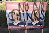 Defaced election posters of Hobart council candidate Yongbei Tang.