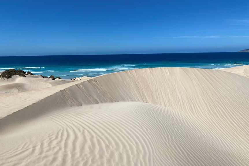 Sandhills with ripples and ocean in background