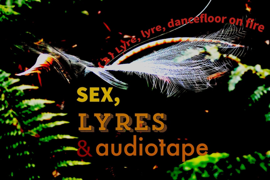 Off Track presents Sex Lyres and audiotape 2