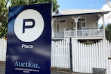 Renovated wooden cottage with For Auction sign at Woolloongabba in  Brisbane.