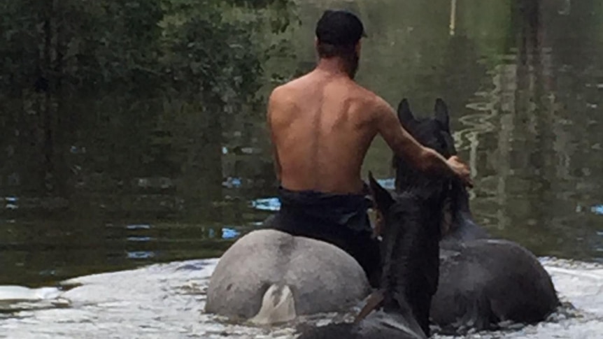 A topless man, wearing a cap, rides a grey horse in floodwaters while holding another, one horse follows.