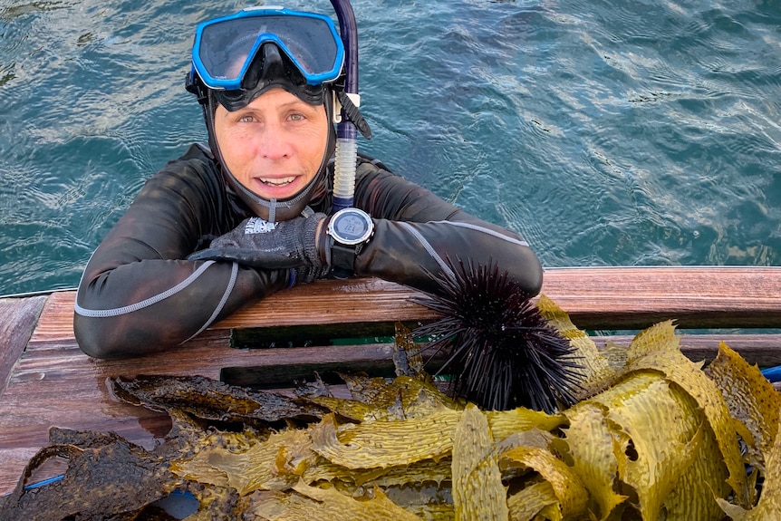 Portrait of woman in diving gear holding onto the side of a boat with her body water, golden kelp and urchin on the boat's deck