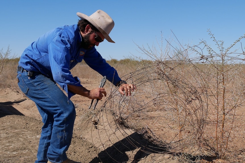 Axel Licari cutting some wire with pliers