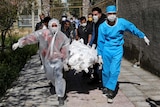 People in protective gear race a body wrapped in a sheet out of a Tehran apartment
