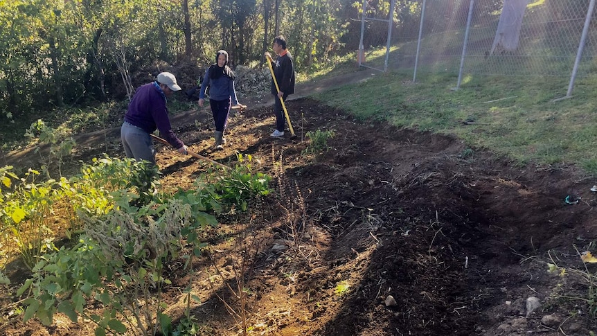 Two men and a woman stand in the garden with gardening hoes