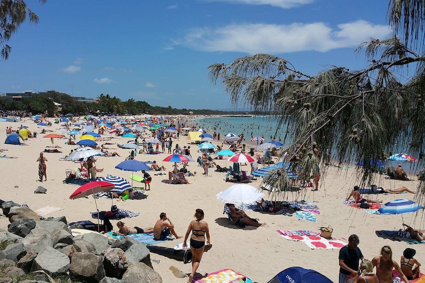 Lots of people gathered at Noosa main beach with umbrellas