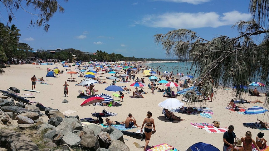 Lots of people gathered at Noosa main beach with umbrellas