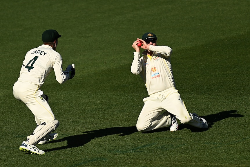 Steve Smith drops to his knees as he takes a catch with Alex Carey watching on