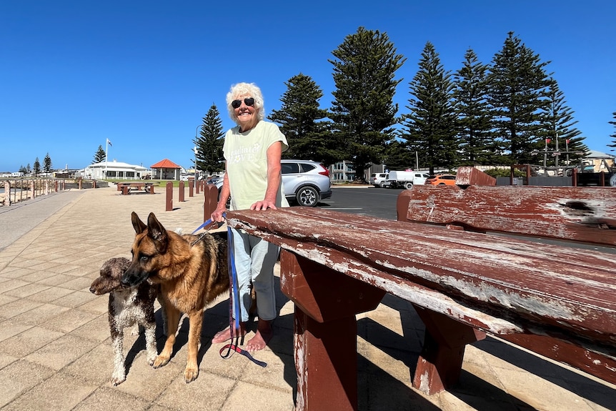 An elderly woman wearing sunglasses with two dogs next to a park bench and pine trees and the beach