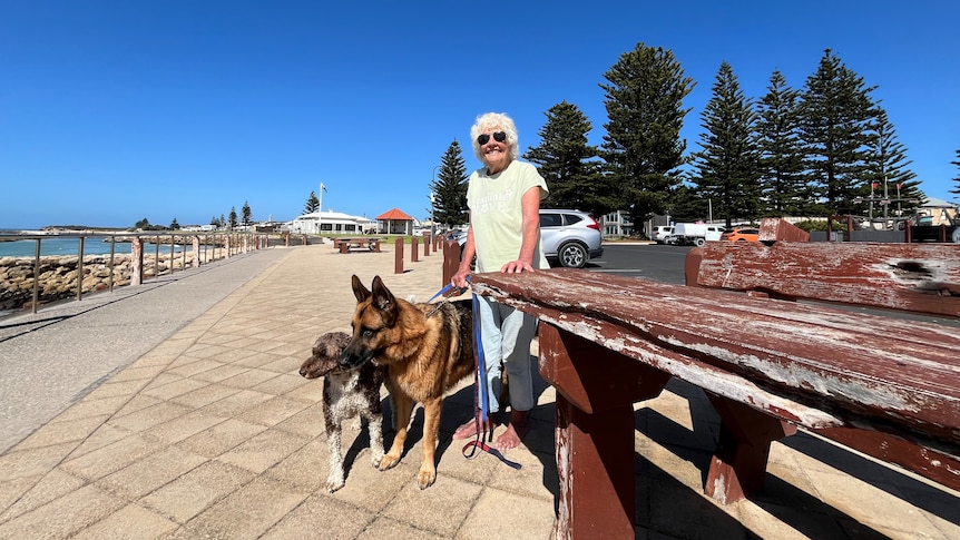 An elderly woman wearing sunglasses with two dogs next to a park bench and pine trees and the beach.