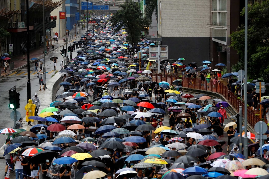 A sea of umbrellas can be seen filling the streets as tens of thousands of protesters march in Hong Kong in the rain