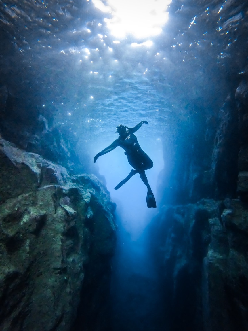 A free diver in the blowhole
