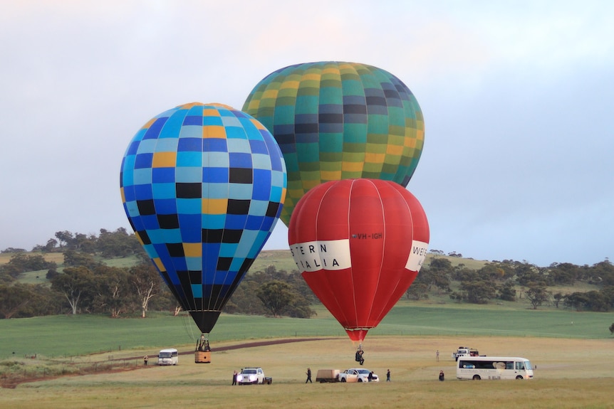 Three hot air balloons about to take off from a paddock, with vehicles in the foreground