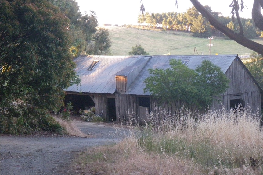 An old timber barn on green grass with large trees to the right.