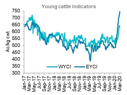 A graph showing the record Eastern Young Cattle Indicator price.