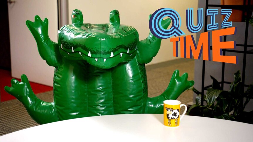 An inflatable crocodile propped up in a chair at a table with all it's legs up in the air.