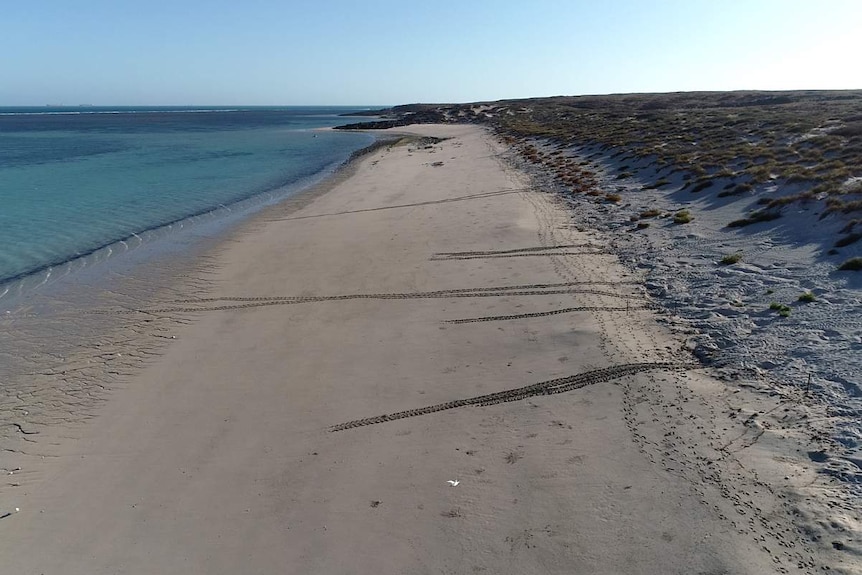 a beach