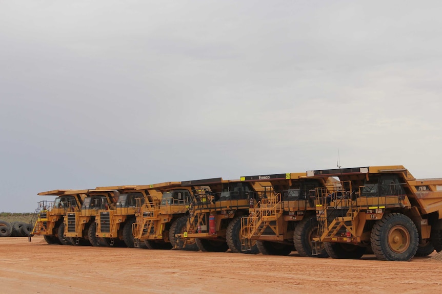 Tip trucks lined up at the Portia gold mine