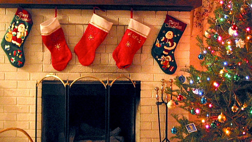 Stockings hang above a fireplace next to a Christmas tree.