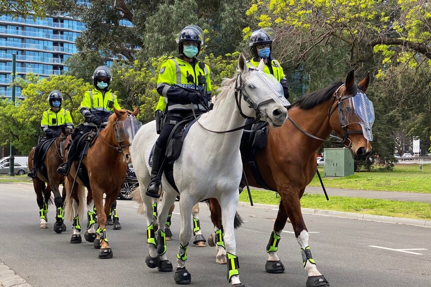 Police officers in fluorescent jackets ride horses down a street in Melbourne's CBD.