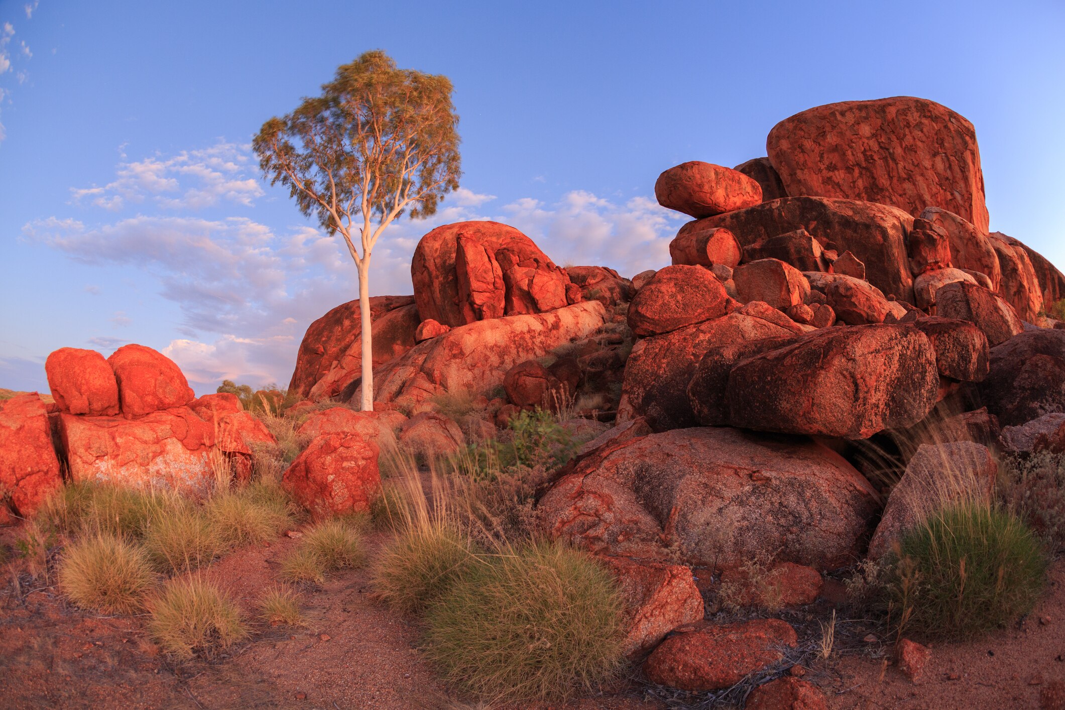 Sacred landscapes: the desert