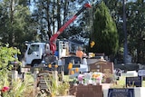 Workers at the Mudgeeraba Cemetery with headstones and flowers in the foregound