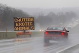 A sign posted on Interstate 70 warns drivers of animals loose in the area around Zanesville, Ohio, October 19, 2011.