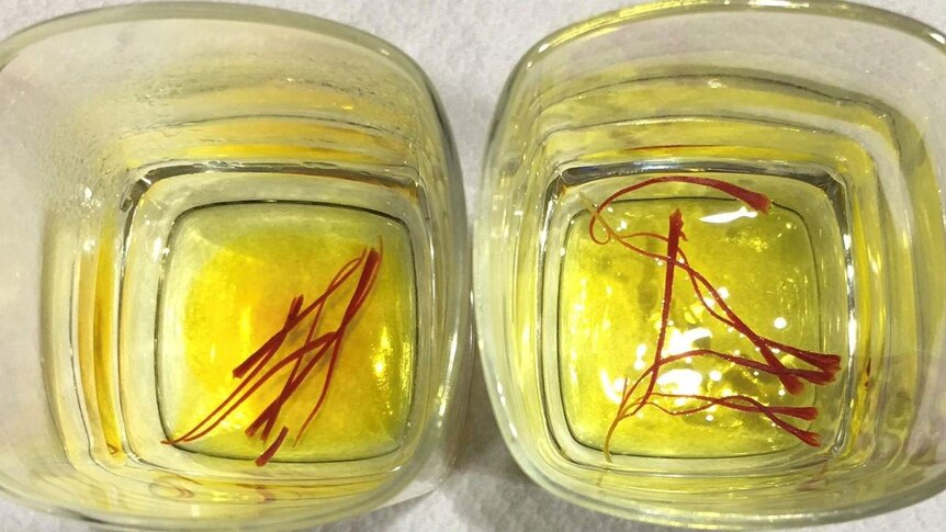Two glasses one with fake saffron and one with real.