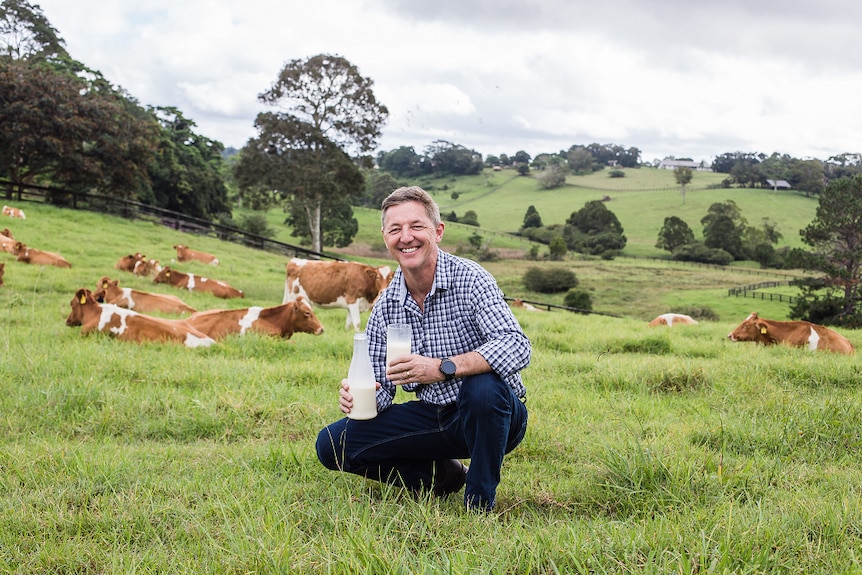 A man crouching in a paddock holding a bottle and glass of milk surrounded by dairy cows