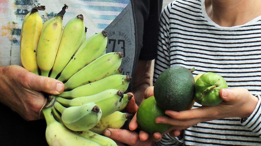 A hand of bananas, oranges, avocados and chokos from food street