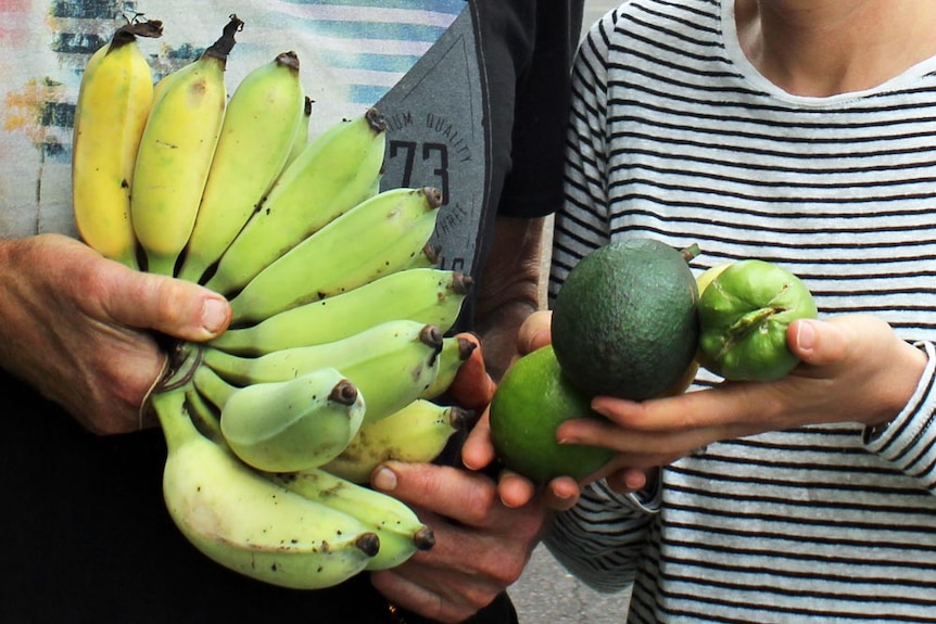 The plentiful produce from Buderim's Urban Food Street.