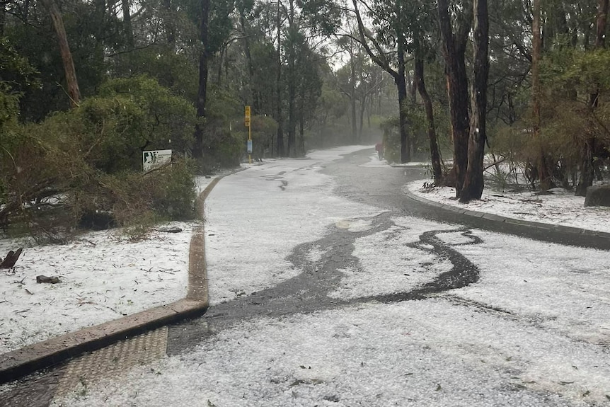 Hail on a road among trees