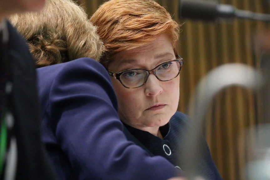 DFAT Secretary Frances Adamson talks into Senator Payne's ear.