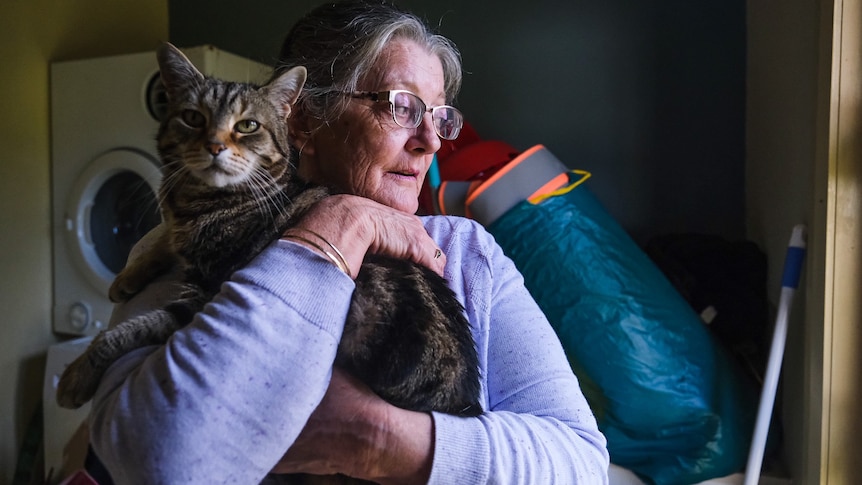 a woman wearing glasses looking out the window while holding onto her cat