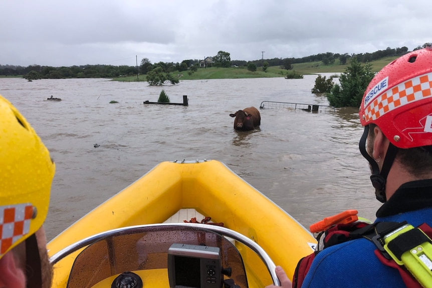 emergency personnel in a boat on a flooded plain