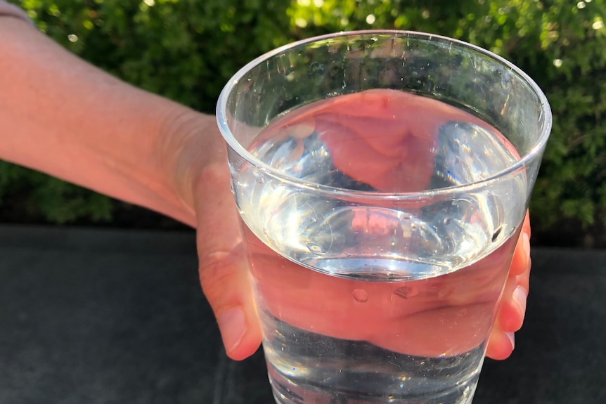 A glass of water.