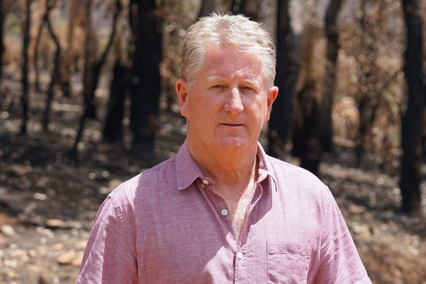 A man with a pink shirt standing in front of charred trees