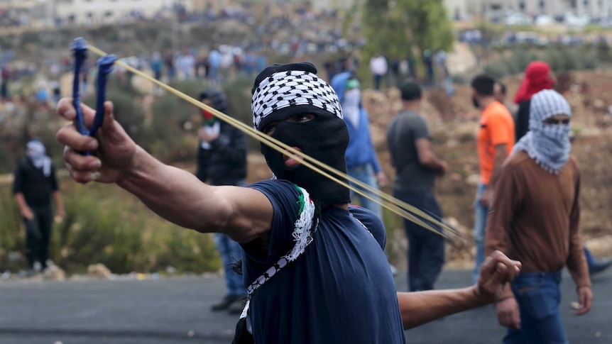 A Palestinian protester