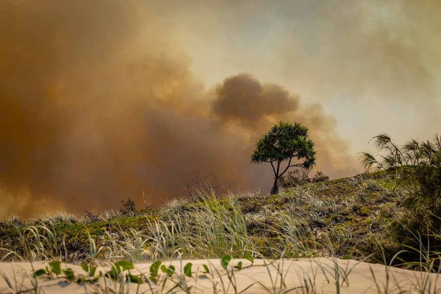 The sky above sand dunes are blackened by smoke.