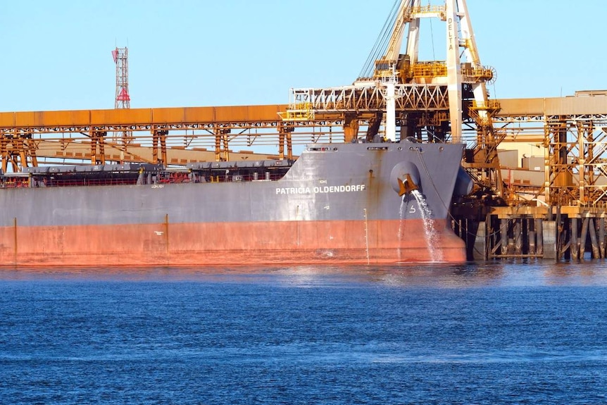 The bulk carrier Patricia Oldendorff at a port with cranes in the background.