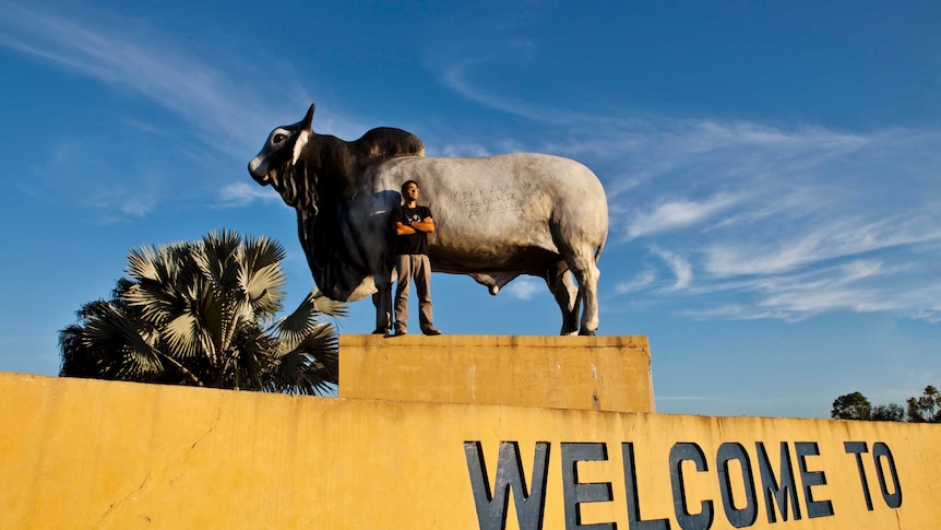 Rockhampton bull statue