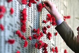 Fallen peacekeepers who did not die at war are currently not included but they are named in a remembrance book.