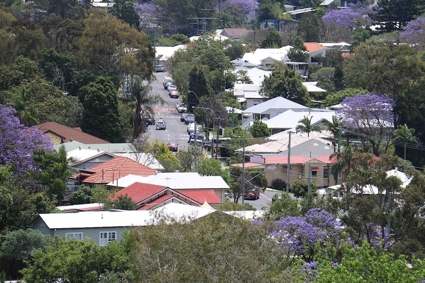 Houses, trees, rooftops, and showing traffic driving on a hilly street in Brisbane.
